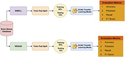 BrainNet: an automated approach for brain stress prediction utilizing electrodermal activity signal with XLNet model